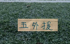 月底将迎大连英博第16轮联赛，申花能否成功凑齐五名外援出战引广泛关注
