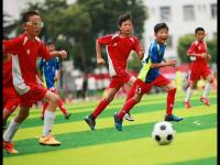 法国VS北爱尔兰直播_法国VS北爱尔兰直播免费观看_法国VS北爱尔兰直播无插件观看