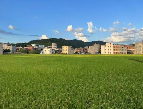 菲律宾VS缅甸直播_菲律宾VS缅甸直播免费观看_菲律宾VS缅甸直播无插件观看 菲律宾VS缅甸直播_菲律宾VS缅甸直播免费观看_菲律宾VS缅甸直播无插件观看