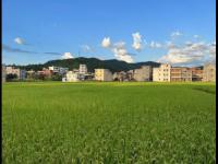 菲律宾VS缅甸直播_菲律宾VS缅甸直播免费观看_菲律宾VS缅甸直播无插件观看